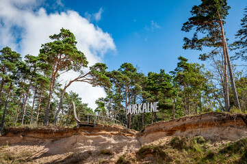 Fototapeta premium High coast of the sea in summer. Sand dunes with pine trees. Baltic sea coastline Jurkalne, Latvia.