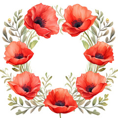 Red poppy flowers frame / boarded, buds and leaves circle isolated on a transparent background cutout PNG