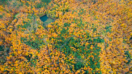 Magnificent aerial view of the trees turning yellow and orange in autumn and the naturally occurring lake. Turkey.
