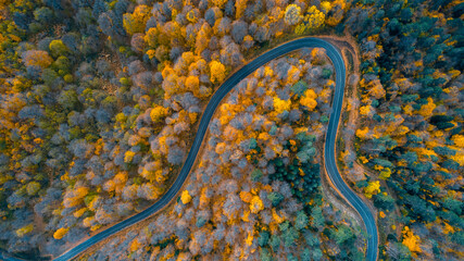 A bird's eye view of the road where vehicles pass through the forest in the autumn season in Yedigöller National Park. Bolu, Turkey.
