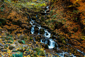 The river flowing through the forest decorated with autumn colors. Water flowing through the stones in natural ways.