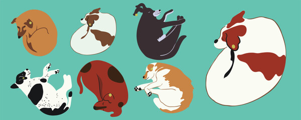 set of dogs in vector. Pets,cute animals, animal protection.Template for postcard sticker logo poster for app website. A series of furry dogs in flat style