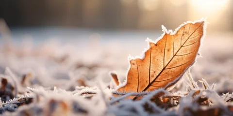 Fotobehang Fall Winter, Autumn Leaves And Frosty Surface, Closeup of frosted leaves, Dry Autumn Leaves Piles And Falling On The Ground, Frost Covered Leaves, generative Ai © Muhammad