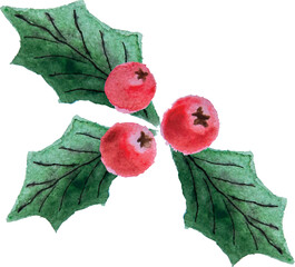 Holly leaves with berries. Christmas symbol. Vector.