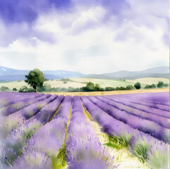 Fototapeta na wymiar Aerial shot of lavender field over blue cloudy sky - watercolor art