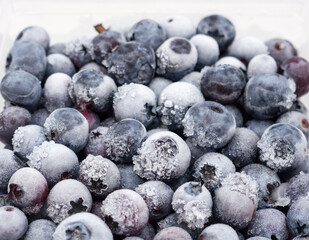 Frozen bog bilberry.