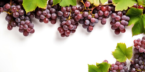 Obraz premium Close up of grapes on white isolated background with top view concept