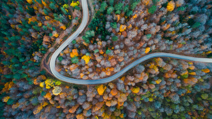 A bird's eye view of the road where vehicles pass through the forest in the autumn season in Yedigöller National Park. Bolu, Turkey.