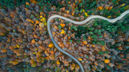 A bird's eye view of the road where vehicles pass through the forest in the autumn season in Yedigöller National Park. Bolu, Turkey.