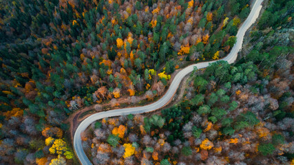 A bird's eye view of the road where vehicles pass through the forest in the autumn season in...