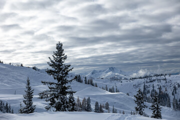 panoramic view over snowy mountains in austrian alps with slightly dark cloudy sky