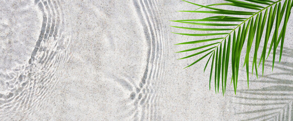 green palm leaf from above isolated on transparent water surface, abstract white sand beach background with water wave and copy space for summer vacation, travel and beauty spa