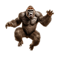 Fototapeta premium gorilla looking isolated on white