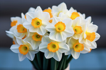 Fototapeta premium Beautiful bouquet of daffodil flowers