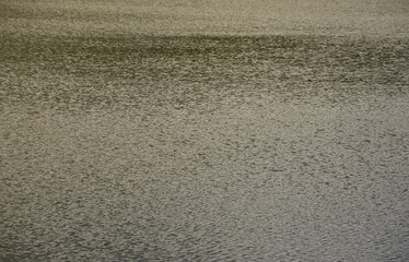The texture of dark river water under the influence of wind, imprinted in perspective. Horizontal...