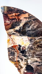 Polished slab of ornamental stone close-up on a white background