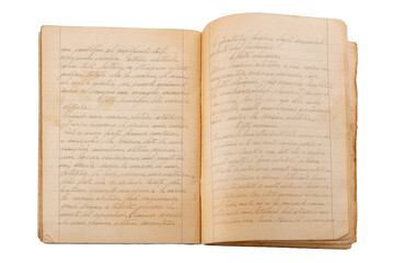 1930s ruled notebook with elegant cursive writing in pencil of Italian science theme on pages...