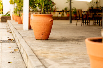 Vasos de barro, meio fio, plantas e calçada.