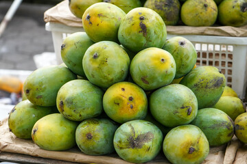 Mangifera indica, commonly known as mango is a species of flowering plant in the sumac and poison...