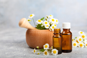 Glass bottle with chamomile essential oil on an old wooden background. Chamomile flowers, close up. Aromatherapy, spa and herbal medicine ingredients. Beauty concept.Copy space. Natural cosmetic