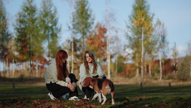 After a short stop after an active walk, the girls give their pet water to quench their thirst. The incredibly beautiful palette of the autumn landscape creates a magical and cozy atmosphere.