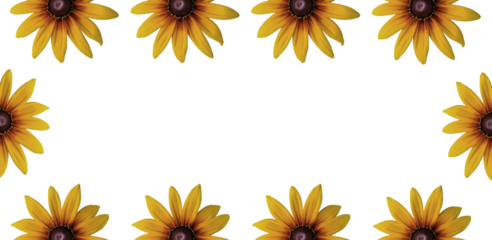 Echinacea 'Parrot' coneflower/ Echinacea 'Funky yellow' flower ring. Cut out. Frame border. Vibrant flower bloom pattern. Round ring. Floral wallpapers and backgrounds. PNG