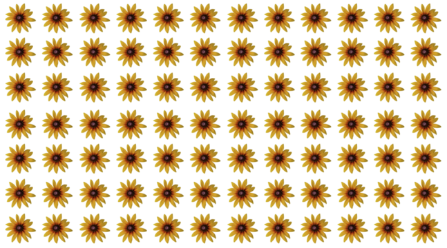 Echinacea 'Parrot' coneflower/ Echinacea 'Funky yellow' flower ring. Cut out. Frame border. Vibrant flower bloom pattern. Round ring. Floral wallpapers and backgrounds. PNG