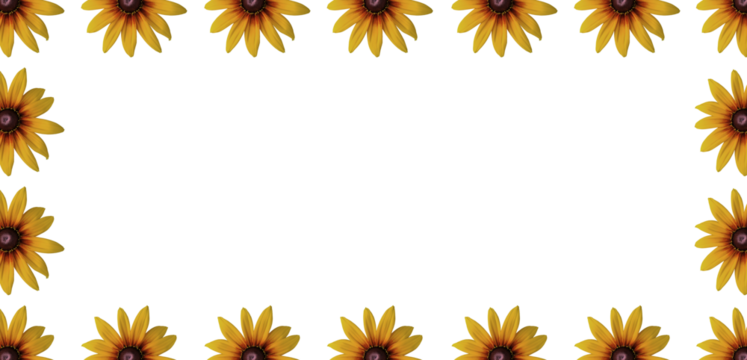 Echinacea 'Parrot' coneflower/ Echinacea 'Funky yellow' flower ring. Cut out. Frame border. Vibrant flower bloom pattern. Round ring. Floral wallpapers and backgrounds. PNG