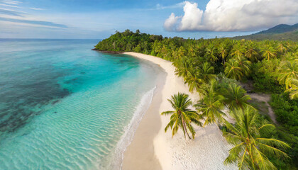 aerial top view on sand beach tropical beach with white sand turquoise sea palm trees under...