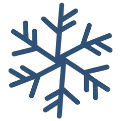 Decorations Snowflake , element Christmas 
