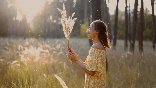 Young Beautiful Woman in yellow dress enjoying sunset in Forest playing with dry fluffy flowers, spikelets, dandelions. cinematic view girl with blowing fluff on summer lawn. Allergy free concept