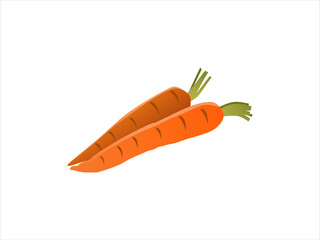 carrot vegetable vector