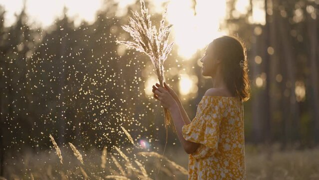 Young Beautiful Woman in yellow dress enjoying sunset in Forest playing with dry fluffy flowers, spikelets, dandelions. cinematic view girl with blowing fluff on summer lawn. Allergy free concept