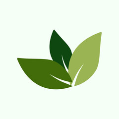 Leaf Vector Design, Icon, Symbol