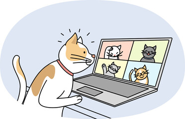 Cat talk on video call with pets