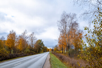 straight asphalt road, trees with autumn foliage on road sides