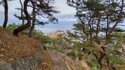 種差海岸の風景【日本・青森】