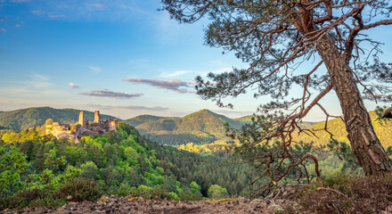 Abendstimmung bei der Burgengruppe Altdahn im Pfälzerwald, Dahn, Rheinland-Pfalz, Deutschland