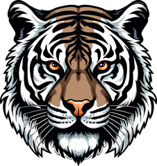 tigre del bengala 03