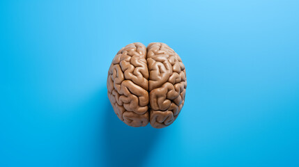 Wallnut Brain: Human Brain Model on Bright Blue Background. Walnut in the Shape of a Brain. Creative Concept of a Healthy Brain