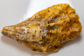 Fresh raw oyster isolated on white background