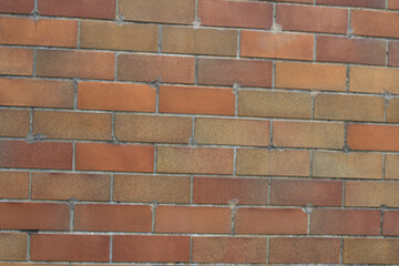 a Red brick wall background at the outdoort