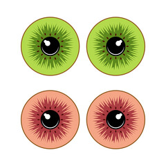 Color illustration of eye made from slices of green and red kiwi. Isolated vector objects on white background.