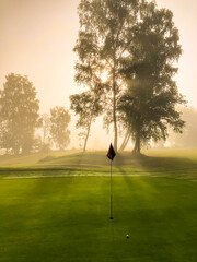 Golf ball on a green on a foggy summer morning, with sunrays piercing through