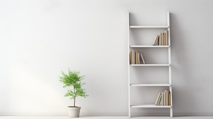 Fototapeta na wymiar A minimalist white bookshelf adorned with books and a potted plant, creating a serene reading nook.