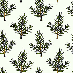 Vector seamless pattern with hand drawn fir-tree branches. Beautiful design elements, ink drawing. Perfect for prints and patterns for Christmas or New Year holidays season.