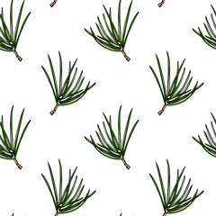 Vector seamless pattern with hand drawn pine twigs. Beautiful design elements, ink drawing. Perfect for prints and patterns for Christmas or New Year holidays season.