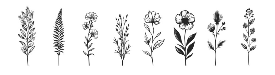 hand drawn botanical floral leaves herb decoration wedding