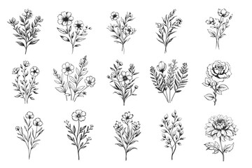 hand drawn botanical floral leaves herb decoration wedding