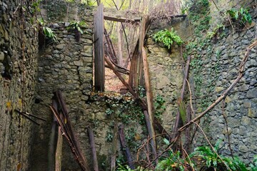 ruins in the wood